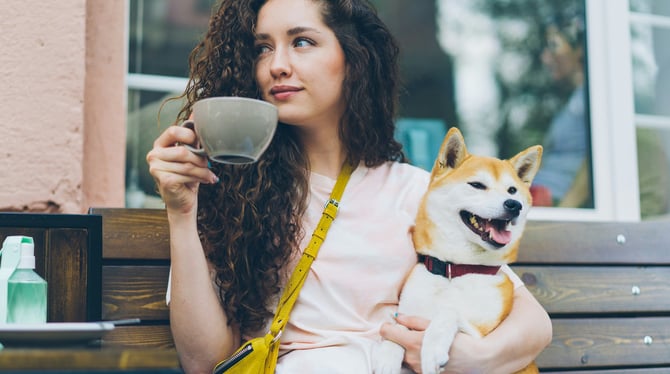 Fuel Up at 4 Paws Coffee Co.