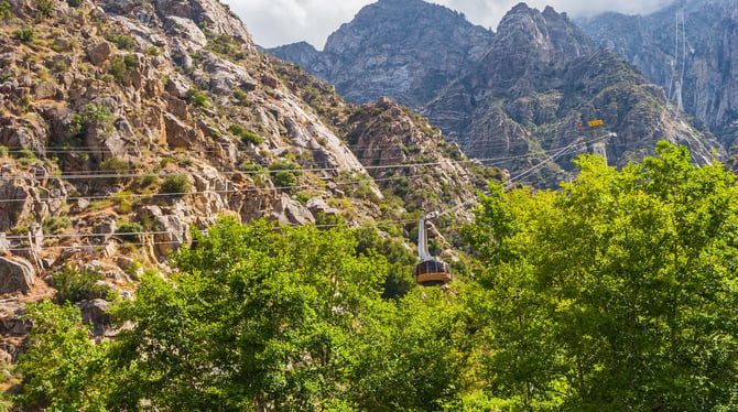 Make It a Family-Friendly New Year's Experience in Palm Springs
