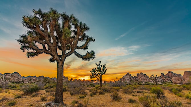 Desert hiking trail near Palm Springs