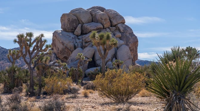 4. Nature and Adventure in the Desert