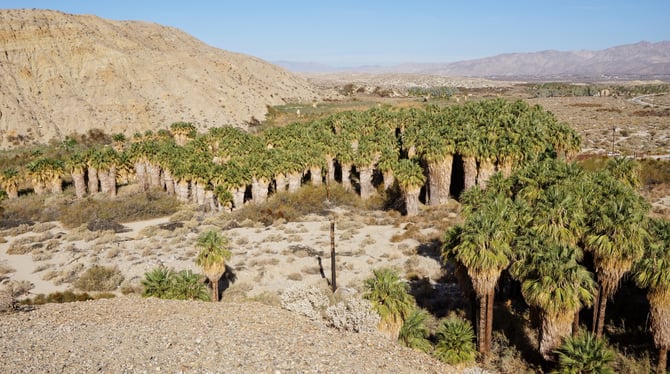 Enjoy the Very Best of Outdoor Adventures in Palm Springs This New Year's